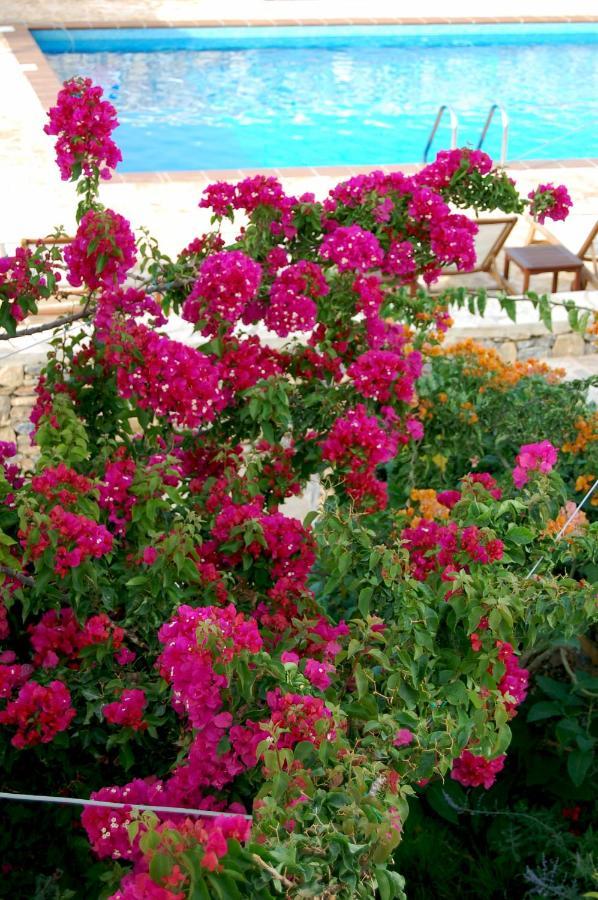 Aeolos Hotel Koufonisia Exterior foto